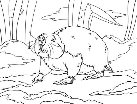 Damaraland Mole Rat Coloring Page